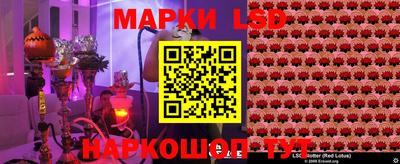 сатива Новозыбков