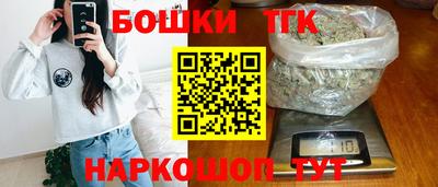 сатива Новозыбков