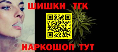 сатива Новозыбков