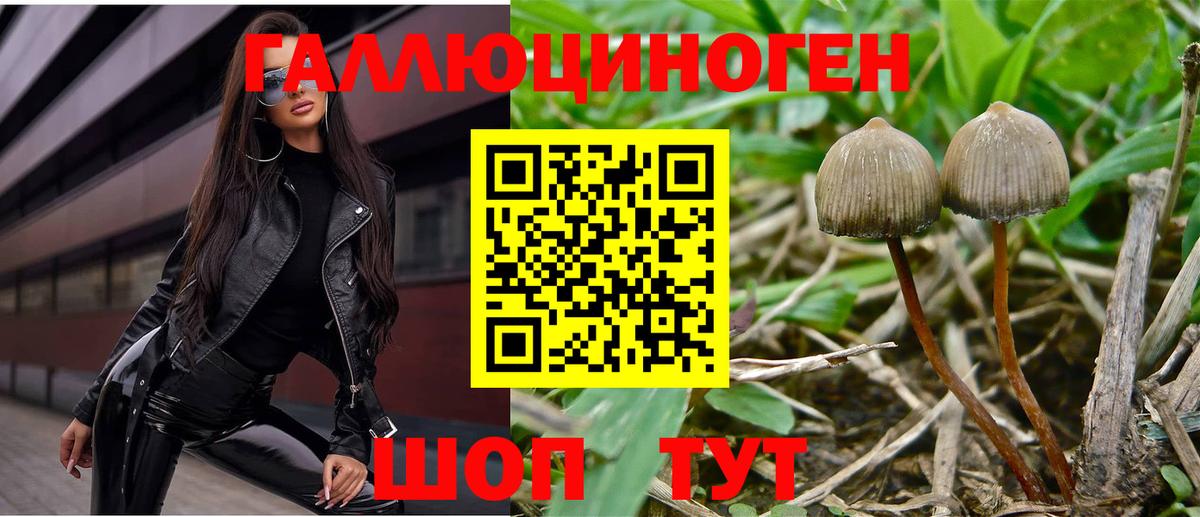 Псилоцибиновые грибы мицелий Топки