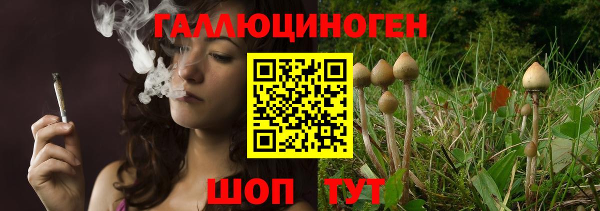 Топки  Галлюциногенные грибы GOLDEN TEACHER  Вход с VPN  Галлюциногенные грибы Psilocybe 