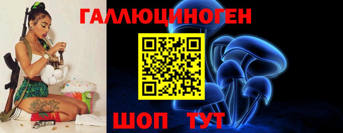 Псилоцибиновые грибы Psilocybine cubensis  Топки 